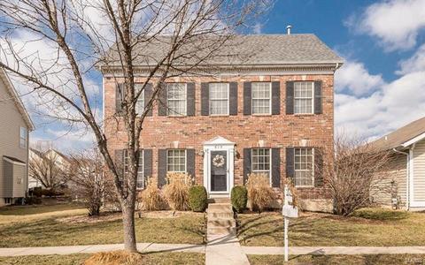 615 Grey Mountain Dr, O'fallon, MO 63368 photo 30