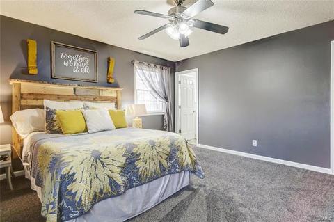 4 Forest View Dr, O'fallon, MO 63366 photo 30