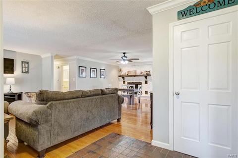 4 Forest View Dr, O'fallon, MO 63366 photo 6