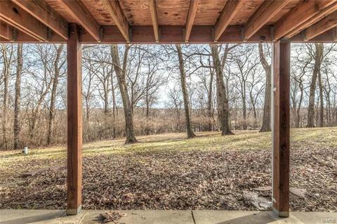 4 Forest View Dr, O'fallon, MO 63366 photo 42
