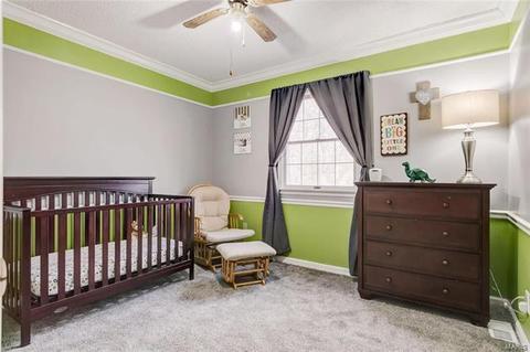 4 Forest View Dr, O'fallon, MO 63366 photo 33