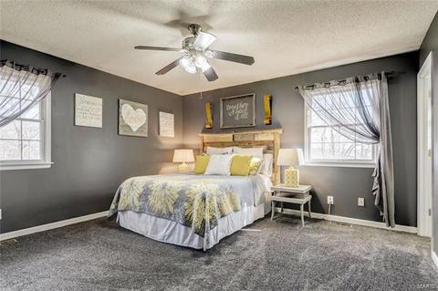 4 Forest View Dr, O'fallon, MO 63366 photo 29