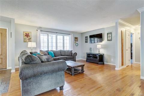4 Forest View Dr, O'fallon, MO 63366 photo 8