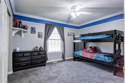 4 Forest View Dr, O'fallon, MO 63366 photo 32