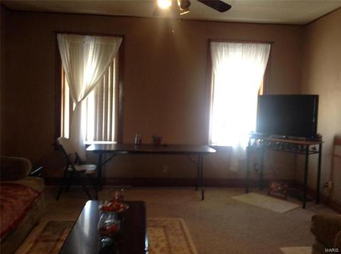 326 E Davis St, Saint Louis, MO 63111 photo 15