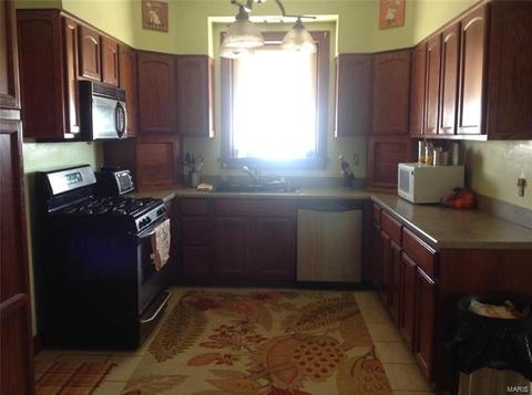 326 E Davis St, Saint Louis, MO 63111 photo 16