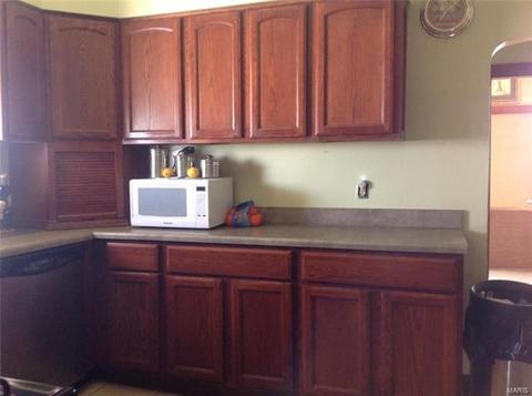 326 E Davis St, Saint Louis, MO 63111 photo 18