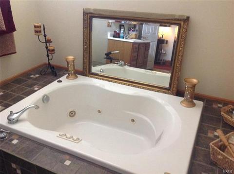 326 E Davis St, Saint Louis, MO 63111 photo 9