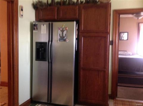 326 E Davis St, Saint Louis, MO 63111 photo 17