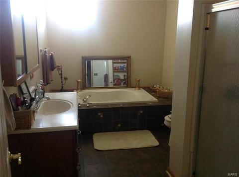 326 E Davis St, Saint Louis, MO 63111 photo 8