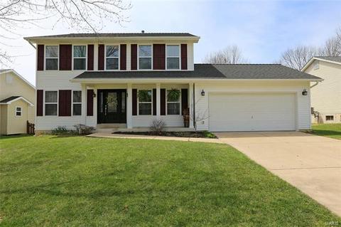 2832 Bromley Dr, O'fallon, MO 63368 photo 38