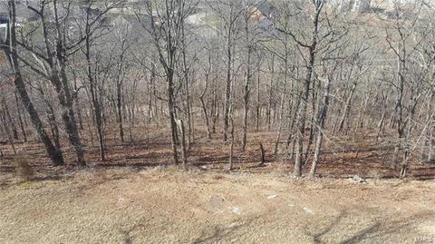725 Castle Ridge Dr, Ballwin, MO 63021 photo 30