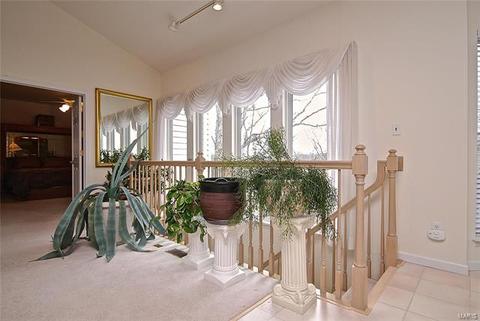 725 Castle Ridge Dr, Ballwin, MO 63021 photo 17