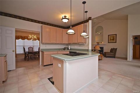 725 Castle Ridge Dr, Ballwin, MO 63021 photo 8