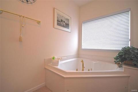 725 Castle Ridge Dr, Ballwin, MO 63021 photo 21