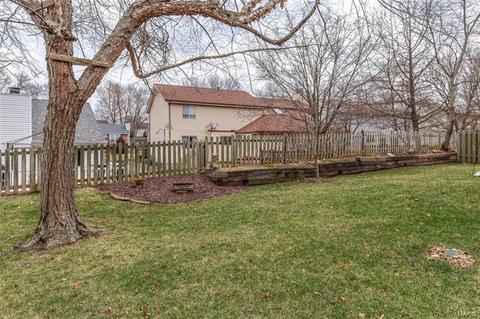 717 Cedar Bluff Ct, Ballwin, MO 63021 photo 51