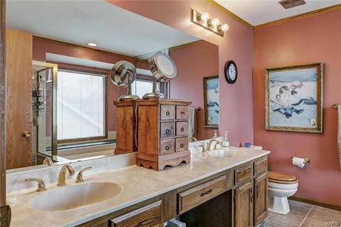717 Cedar Bluff Ct, Ballwin, MO 63021 photo 27