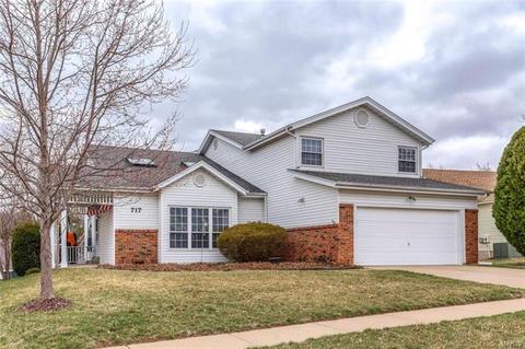 717 Cedar Bluff Ct, Ballwin, MO 63021 photo 2