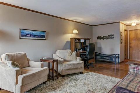 717 Cedar Bluff Ct, Ballwin, MO 63021 photo 18