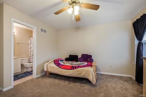 15 Lexington Pass, O'fallon, MO 63366 photo 32