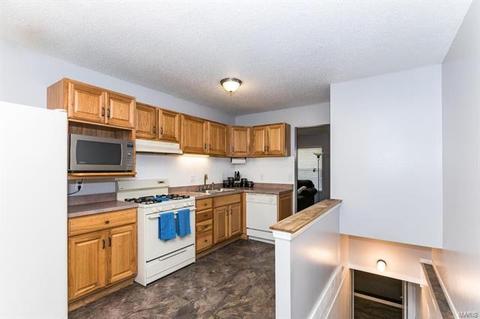 1709 Winter Hill Dr, O'fallon, MO 63366 photo 6