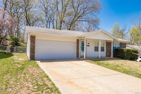 1709 Winter Hill Dr, O'fallon, MO 63366 photo 24