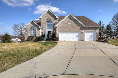 4 Pebble Beach Ct, O'fallon, MO 63366 photo 11