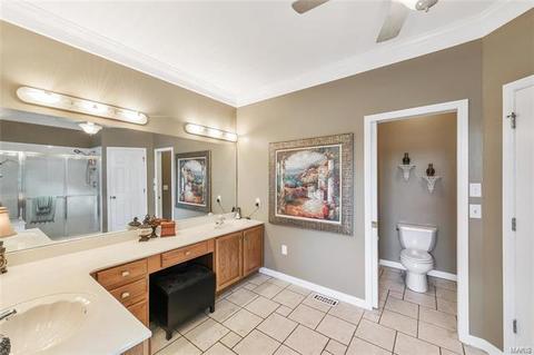 4 Pebble Beach Ct, O'fallon, MO 63366 photo 51