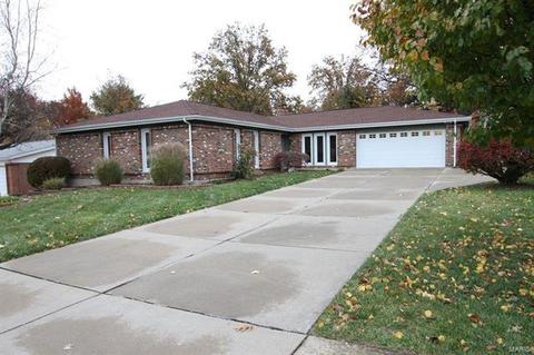 11862 Archerton, Bridgeton, MO 63044 photo 1