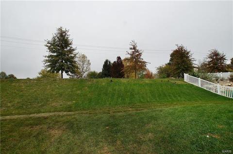 1004 Ashfield Ln, O'fallon, MO 63366 photo 28