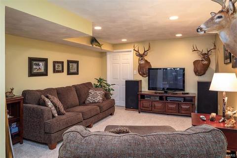 7 Shaker Leg Ct, O'fallon, MO 63366 photo 23