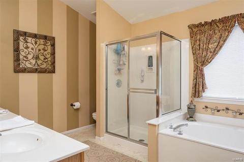 7 Shaker Leg Ct, O'fallon, MO 63366 photo 16