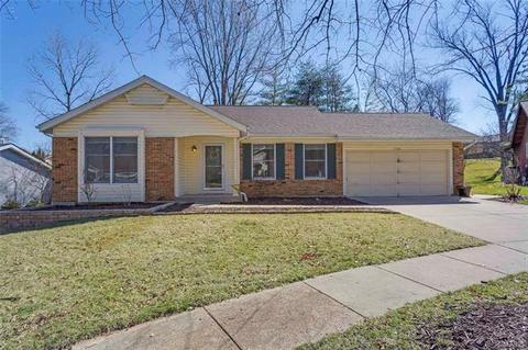 2520 Winter Leaf Ct, Wildwood, MO 63011 photo 1