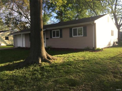 909 Love Dr, O'fallon, MO 63366 photo 14