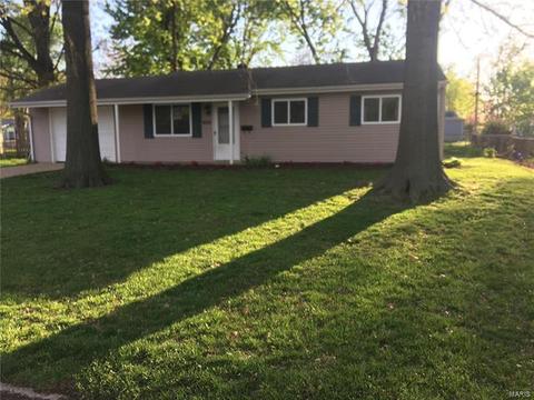 909 Love Dr, O'fallon, MO 63366 photo 23
