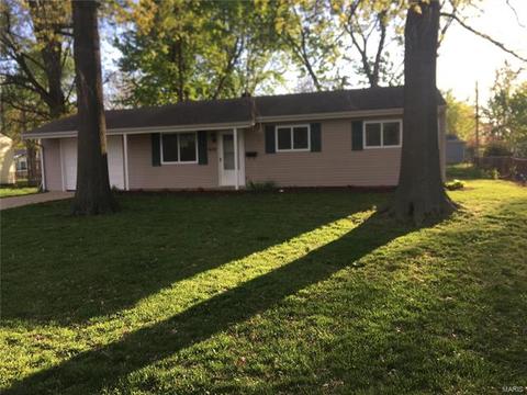 909 Love Dr, O'fallon, MO 63366 photo 22