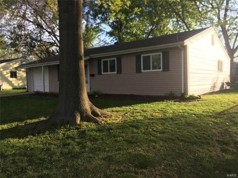909 Love Dr, O'fallon, MO 63366 photo 34