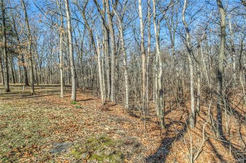 312 Walnut Forest Dr, O'fallon, MO 63366 photo 49