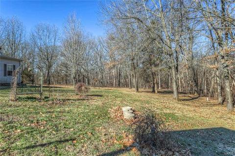 312 Walnut Forest Dr, O'fallon, MO 63366 photo 48