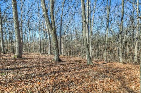 312 Walnut Forest Dr, O'fallon, MO 63366 photo 50