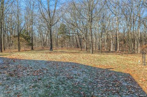 312 Walnut Forest Dr, O'fallon, MO 63366 photo 42