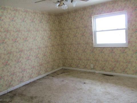 11405 Terry Ave, Bridgeton, MO 63044 photo 6