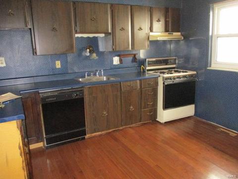 11405 Terry Ave, Bridgeton, MO 63044 photo 3