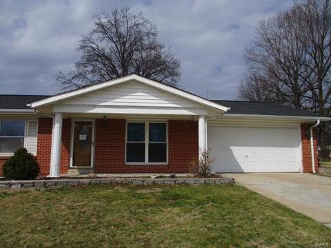 11405 Terry Ave, Bridgeton, MO 63044 photo 1