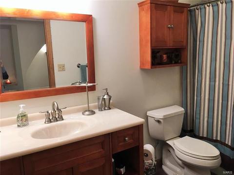 9 River Bluff Ct, Augusta, MO 63332 photo 46