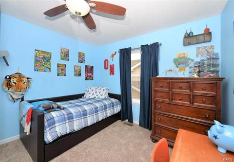 143 Brushy Brook Dr, O'fallon, MO 63366 photo 17