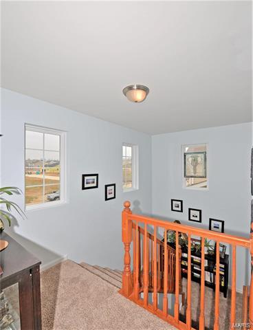 143 Brushy Brook Dr, O'fallon, MO 63366 photo 16