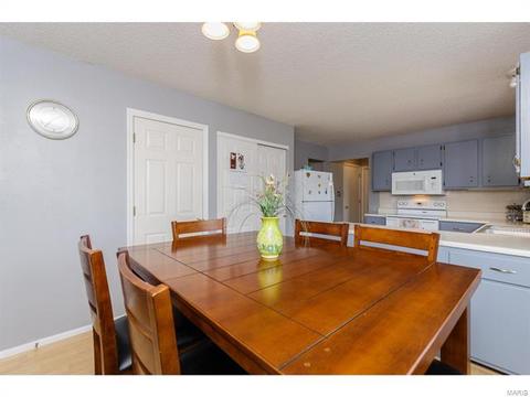 14 Doubletree Ct, Saint Charles, MO 63303 photo 18