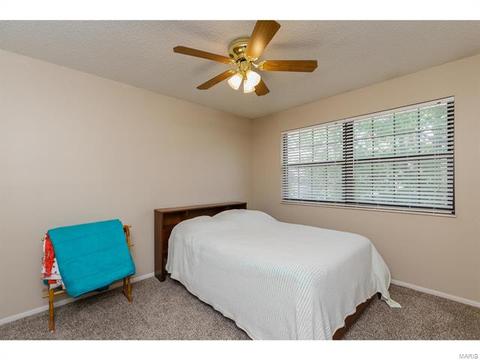 14 Doubletree Ct, Saint Charles, MO 63303 photo 29