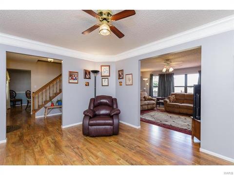 14 Doubletree Ct, Saint Charles, MO 63303 photo 9